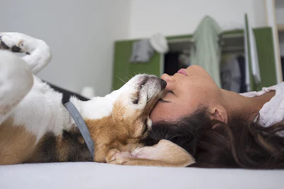 Gen-Z owners, defined as those ages 18–29, showed the highest levels of concern regarding their pet's stress and anxiety.