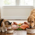 Gluten Free Pet Food Market Growth Market Reports