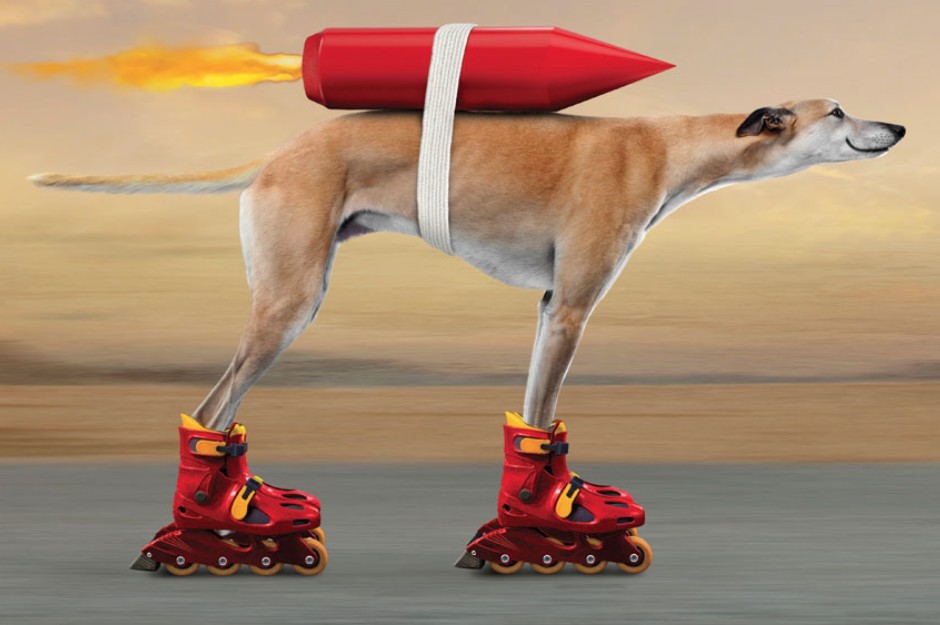 In the current economy, pet owners are looking for more value &mdash; but that doesn&rsquo;t mean industry innovation should slow down.