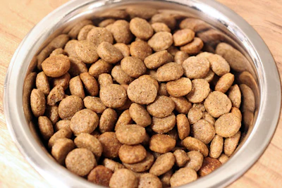 Kibble In Pet Bowl Andrea Gantz