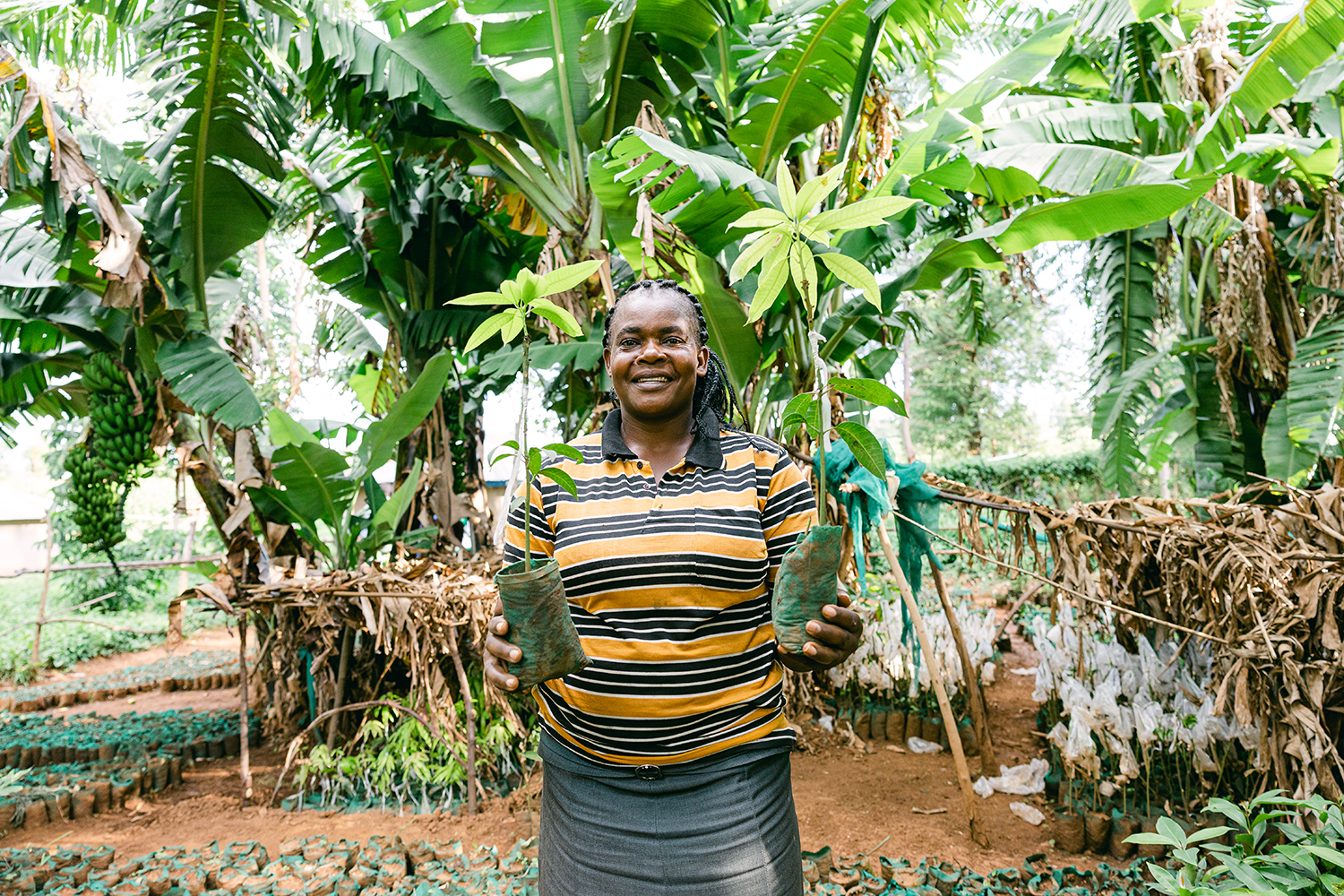 Through the brands&rsquo; UPCs for Trees program, Earthborn Holistic partners with Trees for the Future to plant trees in deforested areas around the world.