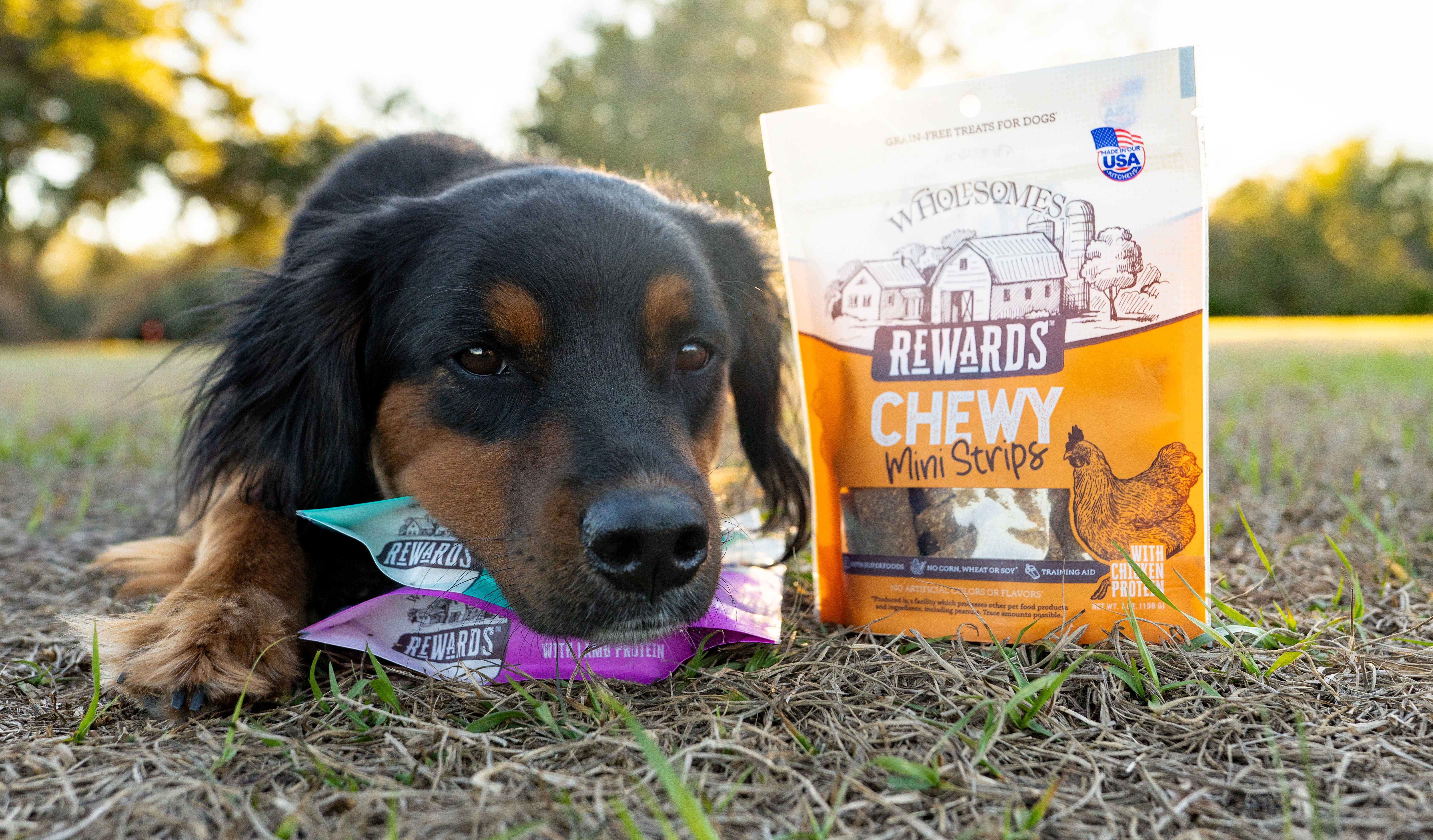 Midwestern Pet Foods' Wholesomes Rewards biscuits now include a Sensitive Skin & Stomach variety featuring salmon, lamb, pumpkin, sweet potato and oatmeal.