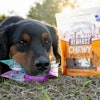Midwestern Pet Foods' Wholesomes Rewards biscuits now include a Sensitive Skin & Stomach variety featuring salmon, lamb, pumpkin, sweet potato and oatmeal.