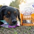 Midwestern Pet Foods' Wholesomes Rewards biscuits now include a Sensitive Skin & Stomach variety featuring salmon, lamb, pumpkin, sweet potato and oatmeal.