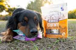Midwestern Pet Foods' Wholesomes Rewards biscuits now include a Sensitive Skin & Stomach variety featuring salmon, lamb, pumpkin, sweet potato and oatmeal.