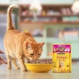 Nestlé Purina's new plant is designed to supply Brazil's growing pet population — estimated at 110 million pets — while also supporting exports across South America.