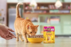 Nestlé Purina's new plant is designed to supply Brazil's growing pet population — estimated at 110 million pets — while also supporting exports across South America.