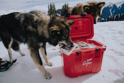 Oliver Sutro 260113 07432