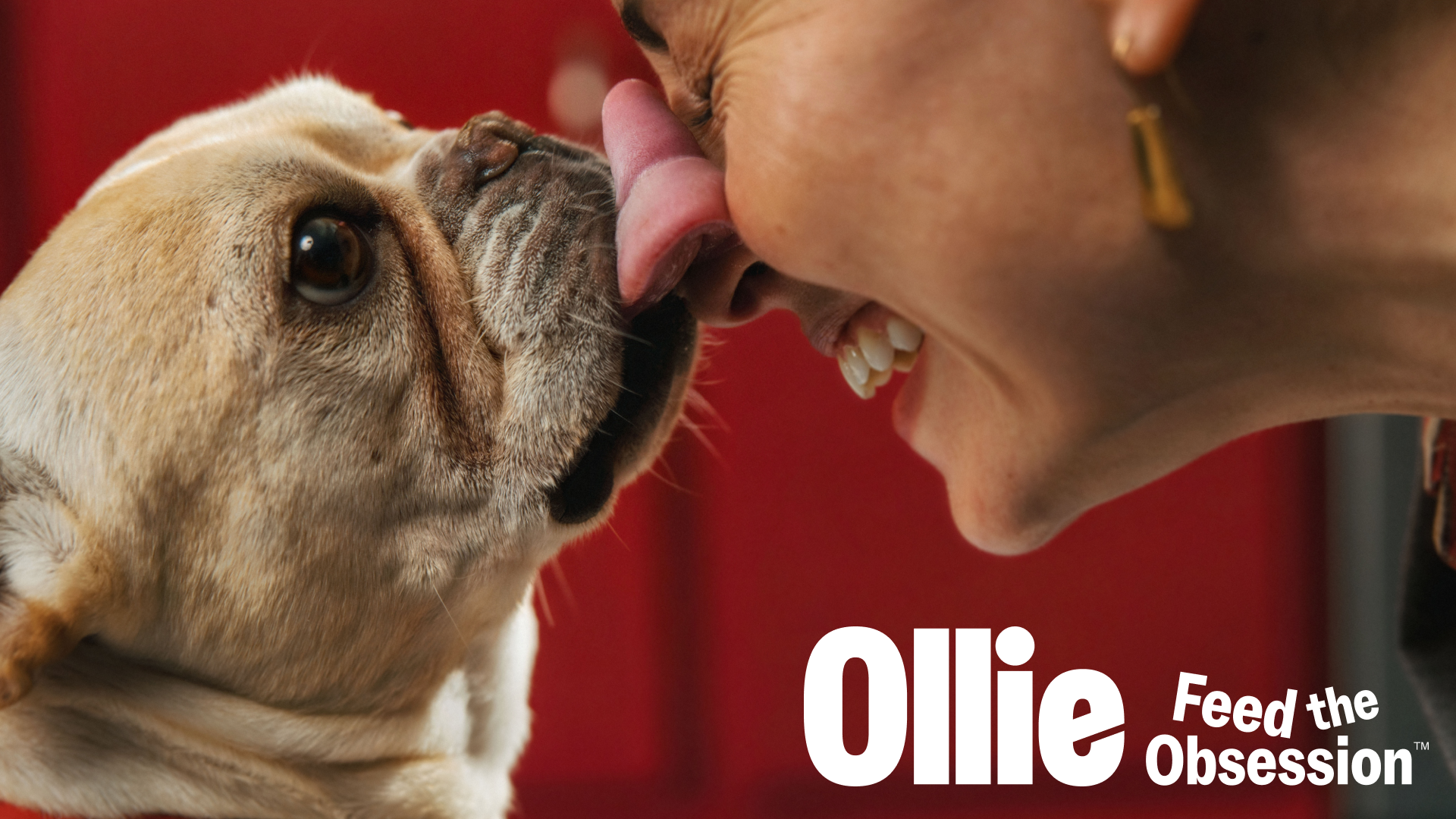 Ollie Feed The Obsession 1 16x9