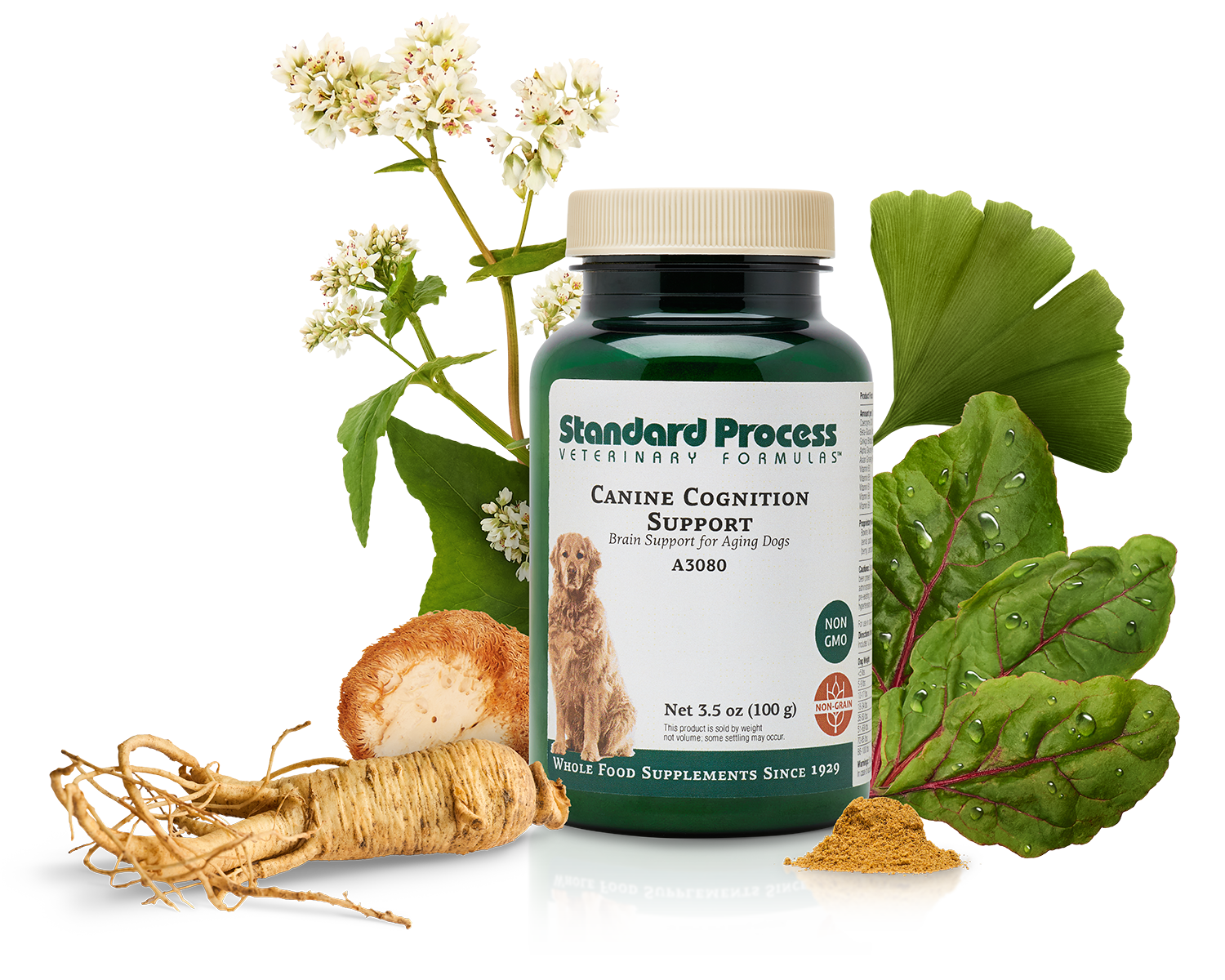 Standard Process Canine Cognitive Supplement