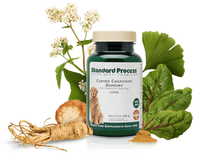 Standard Process Canine Cognitive Supplement