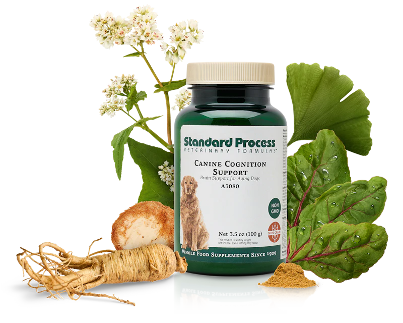 Standard Process launches canine cognitive health supplement ...