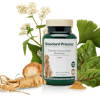 Standard Process Launches Canine Cognitive Health Supplement