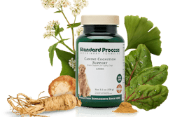 Standard Process Launches Canine Cognitive Health Supplement