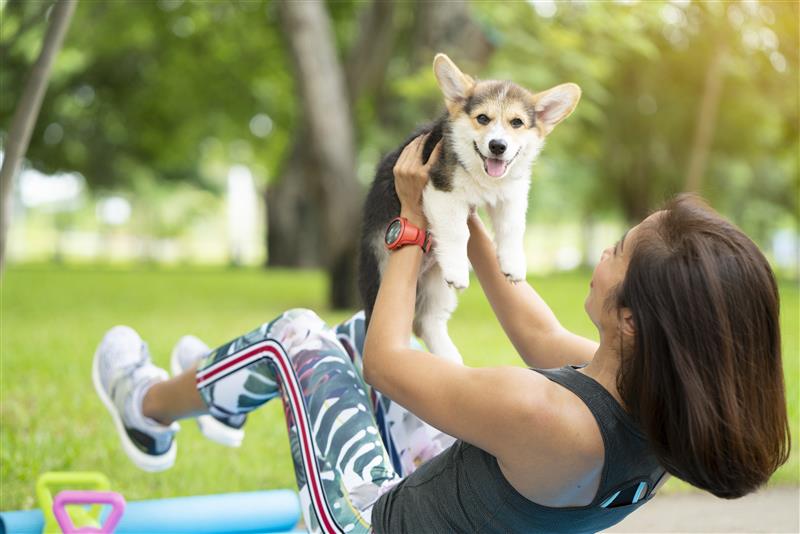 Woman Exercising With Corgi Tatomm Bigstock