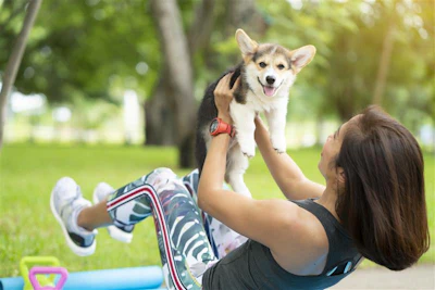 Woman Exercising With Corgi Tatomm Bigstock