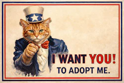 Ww2 Recruitment Poster With A Cat Dressed As Uncle Sam