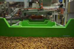 Ÿnsect went down along with several other prominent insect ingredient manufacturers.