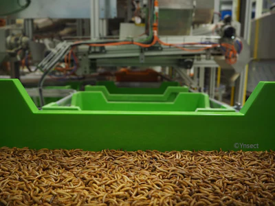 Ÿnsect went down along with several other prominent insect ingredient manufacturers.