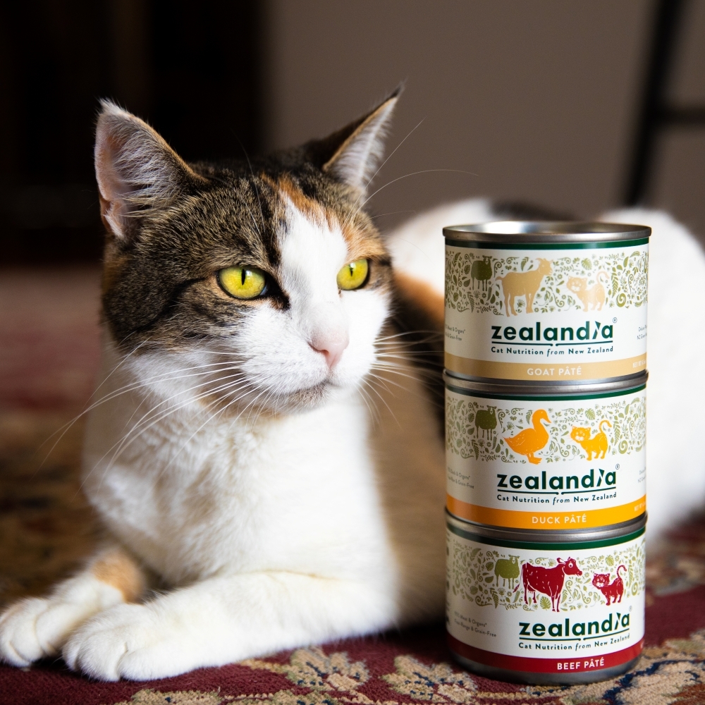 Zealandia has launched a U.S. product line featuring proteins sourced entirely from New Zealand, including wild brushtail possum, wallaby and goat, in addition to beef, chicken, duck and more.
