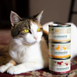 Zealandia has launched a U.S. product line featuring proteins sourced entirely from New Zealand, including wild brushtail possum, wallaby and goat, in addition to beef, chicken, duck and more.