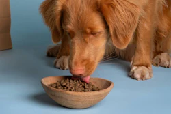Santiago de Andrés, secretary general of the ANFAAC, said Spain's pet food sector demonstrated maturity and sustained growth in 2025.
