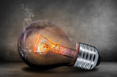 Estis said a daily 'idea jam' could allow a pet food company to run small experiments, embrace mistakes and build a culture where innovation happens every day &mdash; not just when disruption forces it.