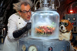 A Mad Scientist And His Pet Beagle Freeze A Container Of Fresh Dog Food In An Elaborate Cryogenic Machine