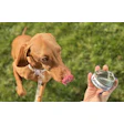 Dog With Can Of Bene Meat