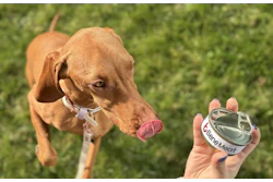 Dog With Can Of Bene Meat
