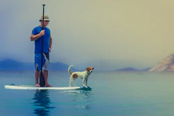 As the bond between pets and their owners deepens, so does the desire to support their health and longevity together.