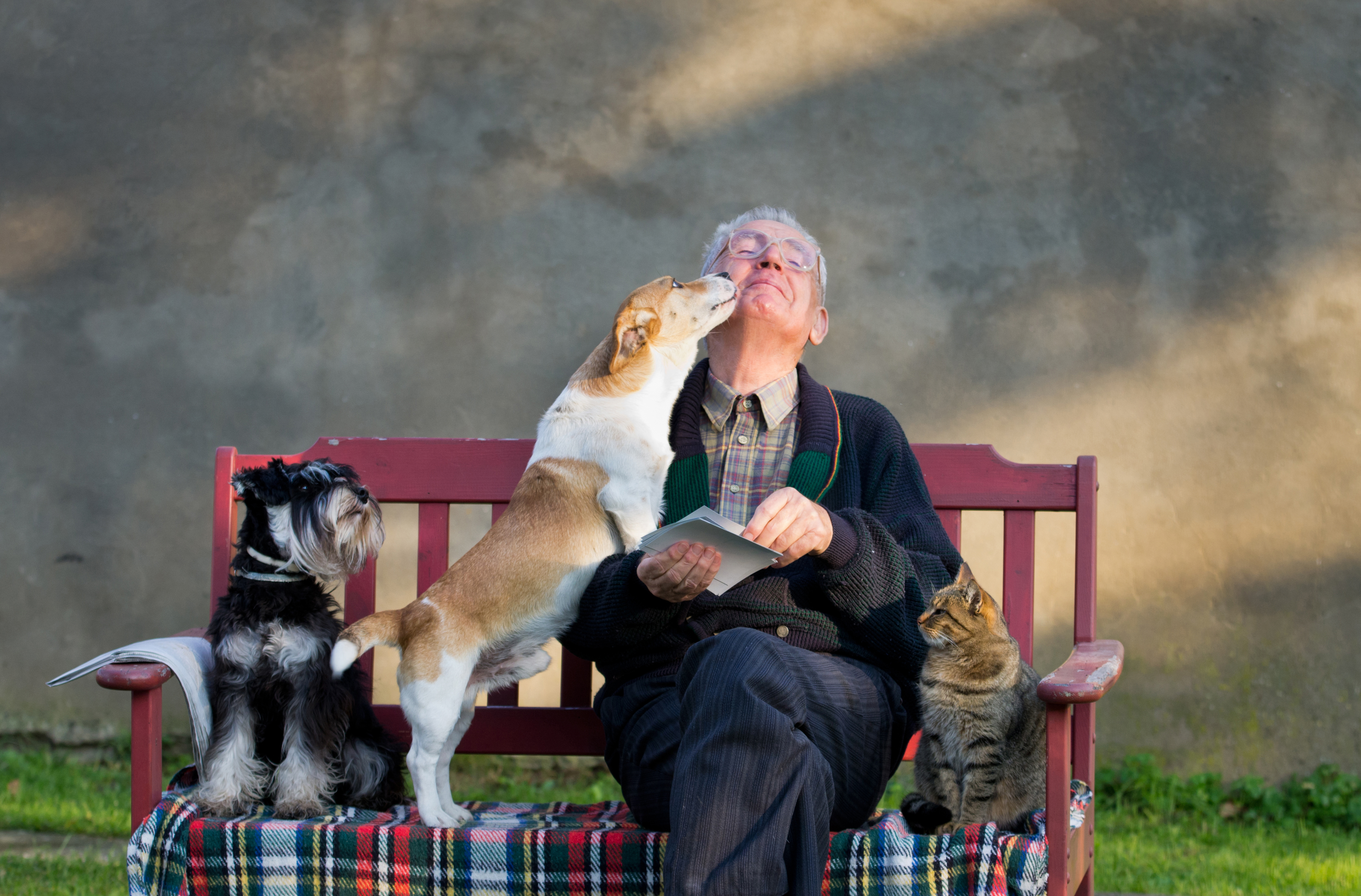 Dog With Older Person