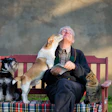 Dog With Older Person