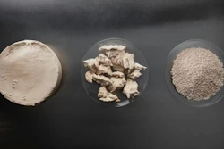 PEKILOPet mycoprotein is a nutrient-rich ingredient produced through a biomass fermentation process.
