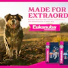 Eukanuba Ir Press Release Image
