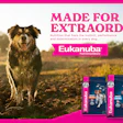 Eukanuba Ir Press Release Image
