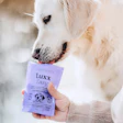 Globe Buddy Luxx Dog Treats Product Closeup