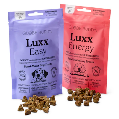 Globe Buddy New Luxx Packshot