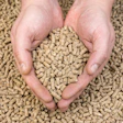 Hands Holding Feed