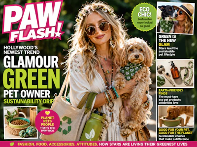 Hollywood Tabloid Cover About Glamour Green Pet Owner Sustainability Drip