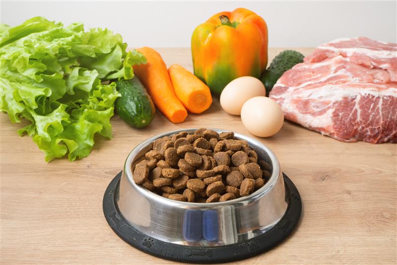 Shannon Landry, research director for pet, Packaged Facts, says flexible feeding gives pet owners a way to feed alternative formats while staying within their pet food budget.