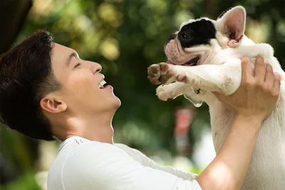 Man With Dog Dragon Images Bigstock com