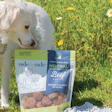 Side By Side offers ingredients in the cooling, neutral and warming categories: options that provide pet owners with customized balancing nutrition depending on their pets’ needs.