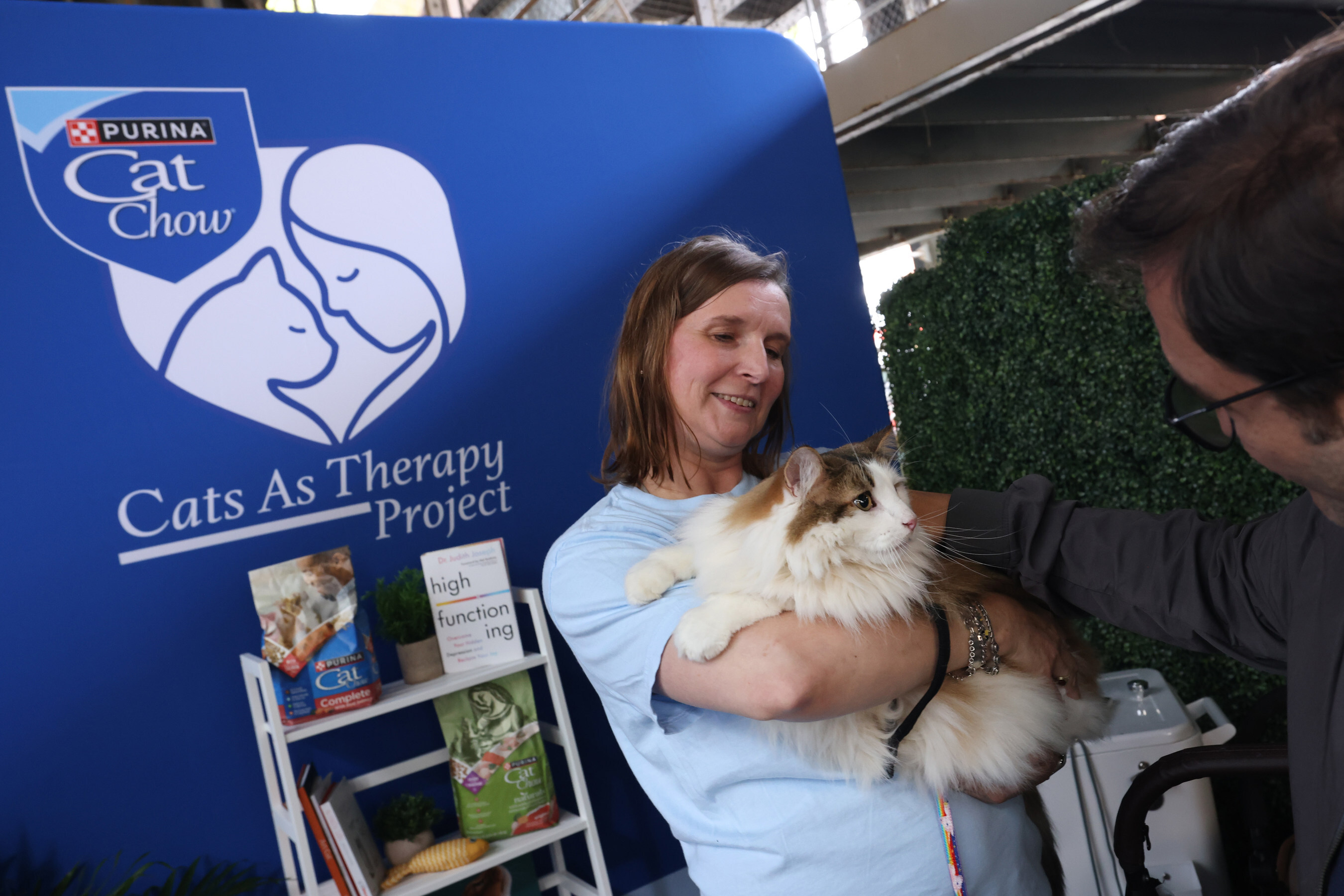 Purina Cat Chow Therapy Cats 2