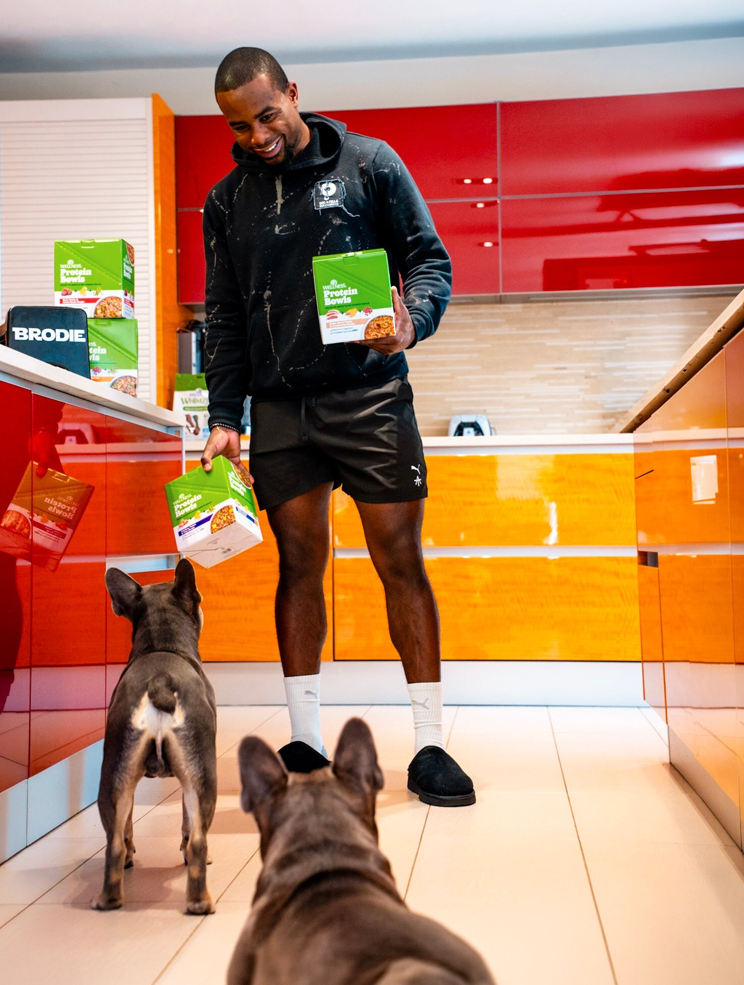 Alex Toussaint teams up with Wellness Pet Company to champion shared wellbeing and healthier, happier lives for pets and pet parents.
