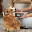 Since its founding, Wuffes has sold exclusively through direct-to-consumer and marketplace channels.
