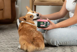 Since its founding, Wuffes has sold exclusively through direct-to-consumer and marketplace channels.