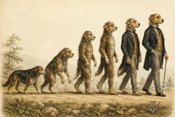 19th Century Scientific Illustration Like The Decent Of Man