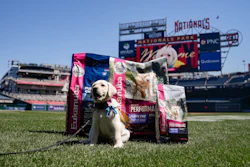 Natty, an 8-week-old Golden Retriever and Labrador Retriever mix, will be the Washington Nationals club's official team dog.