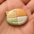 The four consumer segments — Wellness Disengaged, Interested Inactives, Adjacent Wellness Shoppers and Pet Supplement Adopters — each carry distinct implications for how brands should allocate marketing and product development resources.
